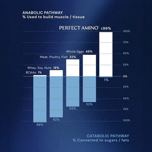Perfect Amino Tablets by Rescove