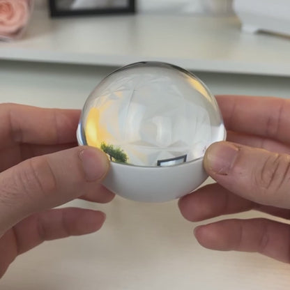 Personalized Memory Crystal Ball: Custom Video Orb